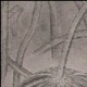 用户名：mia***